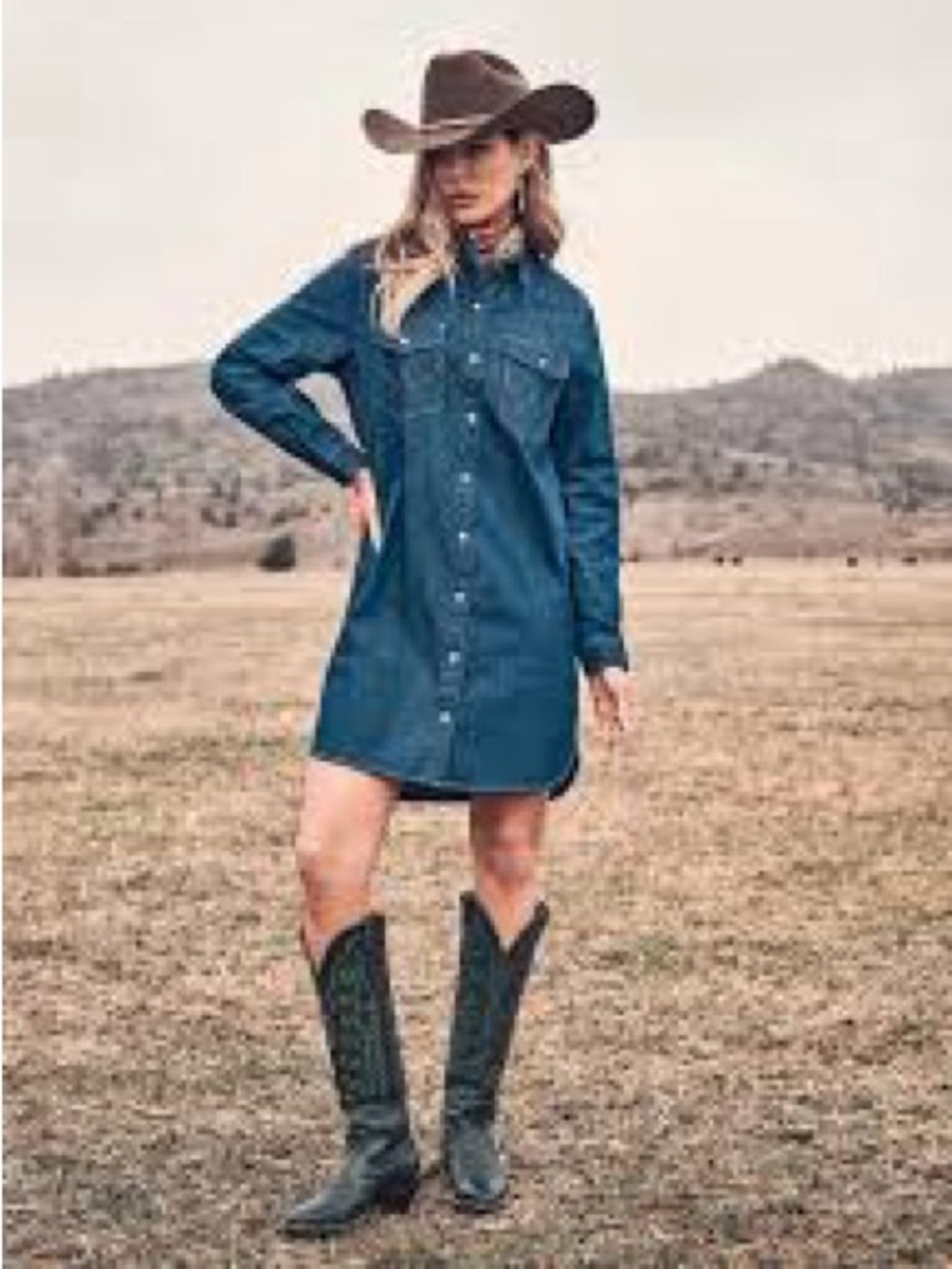 western-style snap button denim shirt dress